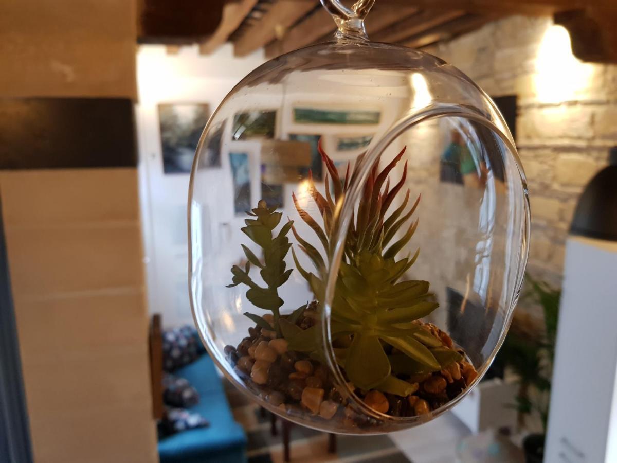 G&H Apartments - Loft La Pintora ヘレス エクステリア 写真